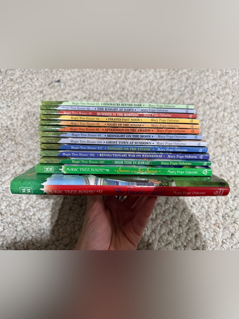 Magic Tree House Book Set - Multi-Color by Mary Pope Osborne